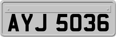 AYJ5036