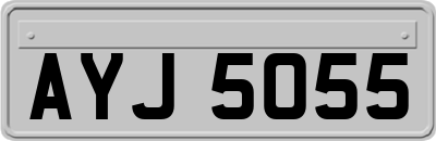 AYJ5055