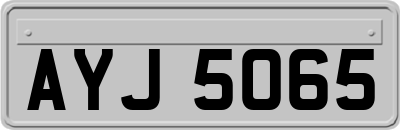 AYJ5065