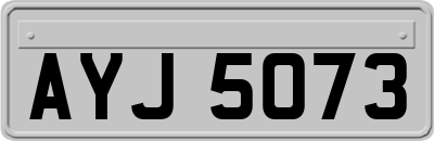 AYJ5073