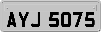 AYJ5075