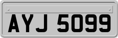 AYJ5099