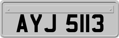AYJ5113