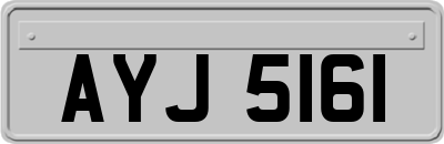 AYJ5161