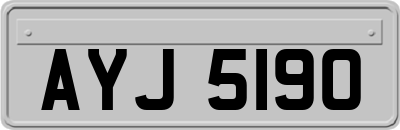 AYJ5190