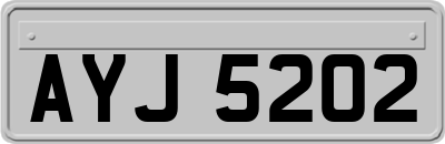 AYJ5202