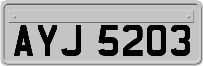 AYJ5203