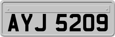 AYJ5209