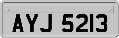 AYJ5213