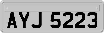 AYJ5223