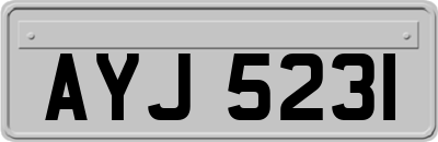 AYJ5231