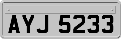 AYJ5233