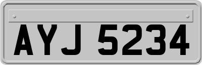 AYJ5234