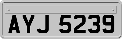 AYJ5239