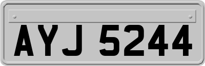 AYJ5244