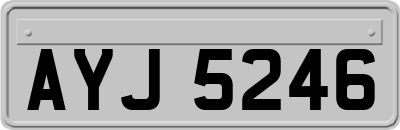 AYJ5246