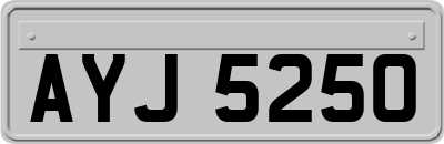 AYJ5250