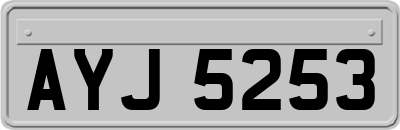AYJ5253