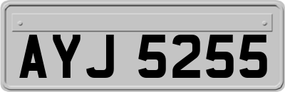 AYJ5255