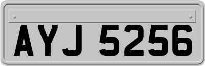 AYJ5256