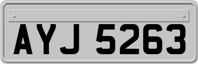 AYJ5263