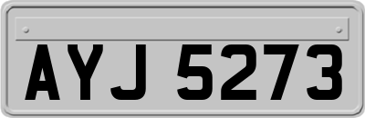 AYJ5273