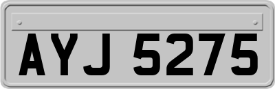 AYJ5275