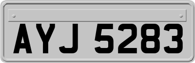 AYJ5283