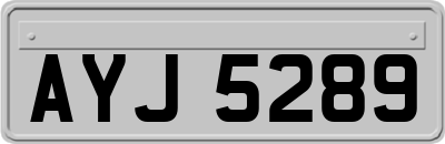 AYJ5289