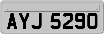 AYJ5290