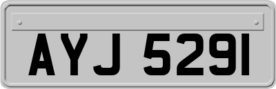 AYJ5291