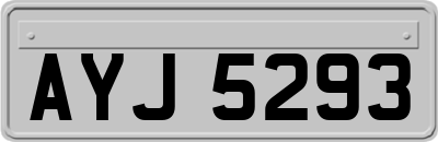 AYJ5293