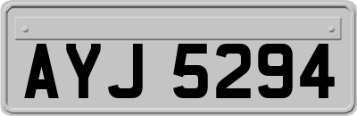 AYJ5294