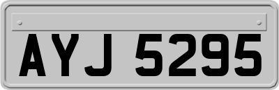 AYJ5295