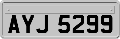 AYJ5299