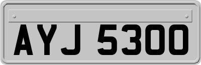 AYJ5300