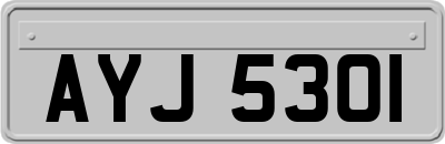 AYJ5301
