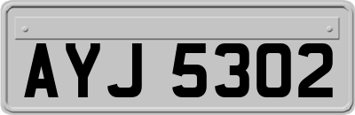 AYJ5302