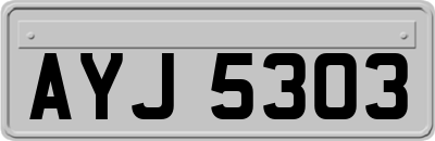 AYJ5303