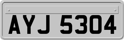 AYJ5304