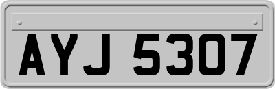 AYJ5307