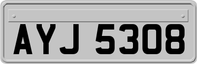 AYJ5308