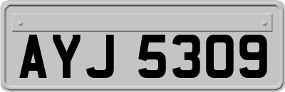 AYJ5309