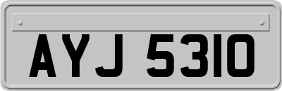 AYJ5310