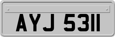 AYJ5311