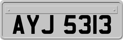AYJ5313