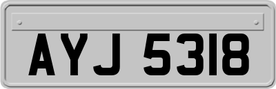 AYJ5318