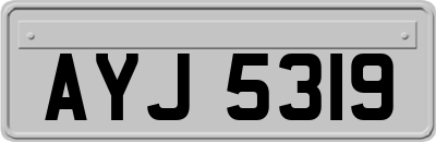 AYJ5319