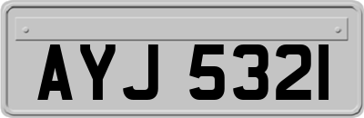 AYJ5321