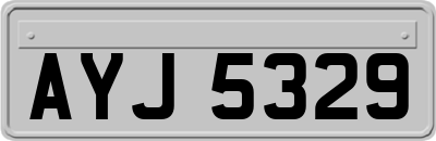 AYJ5329